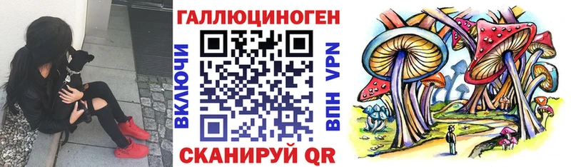 где найти   Златоуст  Галлюциногенные грибы Magic Shrooms 