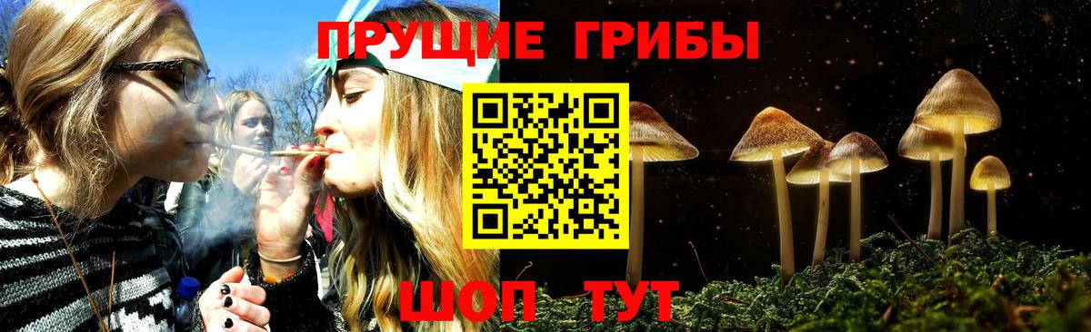 даркнет сайт  Галлюциногенные грибы Magic Shrooms  Златоуст  Галлюциногенные грибы GOLDEN TEACHER 